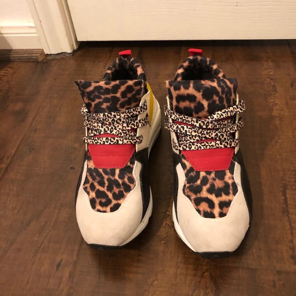 Steve Madden Women's Cliff Sneaker